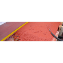 Sikacem Color