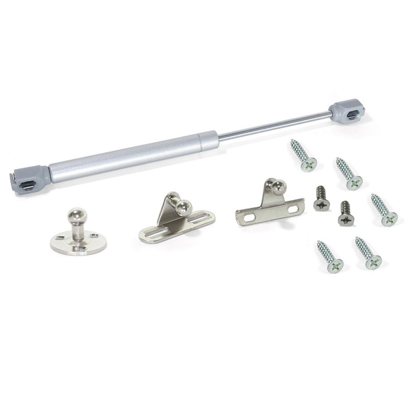 PISTON POUR PORTE RELEVABLE