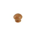 BOUTON EN BOIS