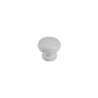 BOUTON EN BOIS BLANC