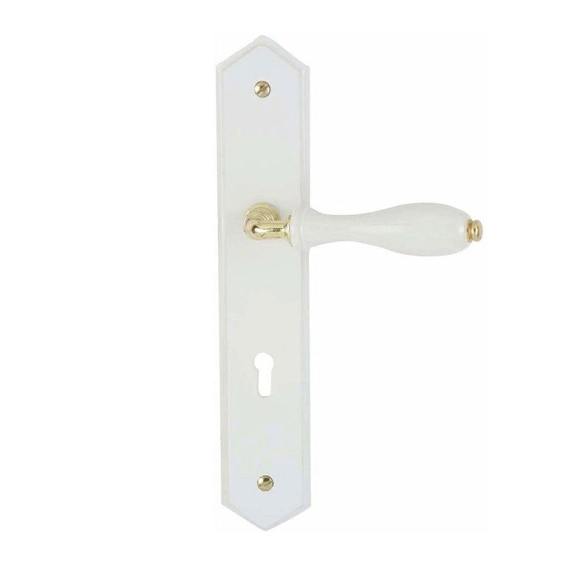 ENSEMBLE PLAQUE BOIS LAQUE BLANC
