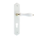 ENSEMBLE PLAQUE BOIS LAQUE BLANC