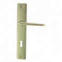 ENSEMBLE PLAQUE SAMOENS ALU CHAMPAGNE