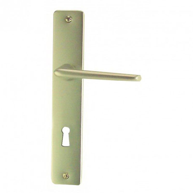 ENSEMBLE PLAQUE SAMOENS ALU CHAMPAGNE