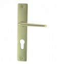 ENSEMBLE PLAQUE SAMOENS ALU CHAMPAGNE