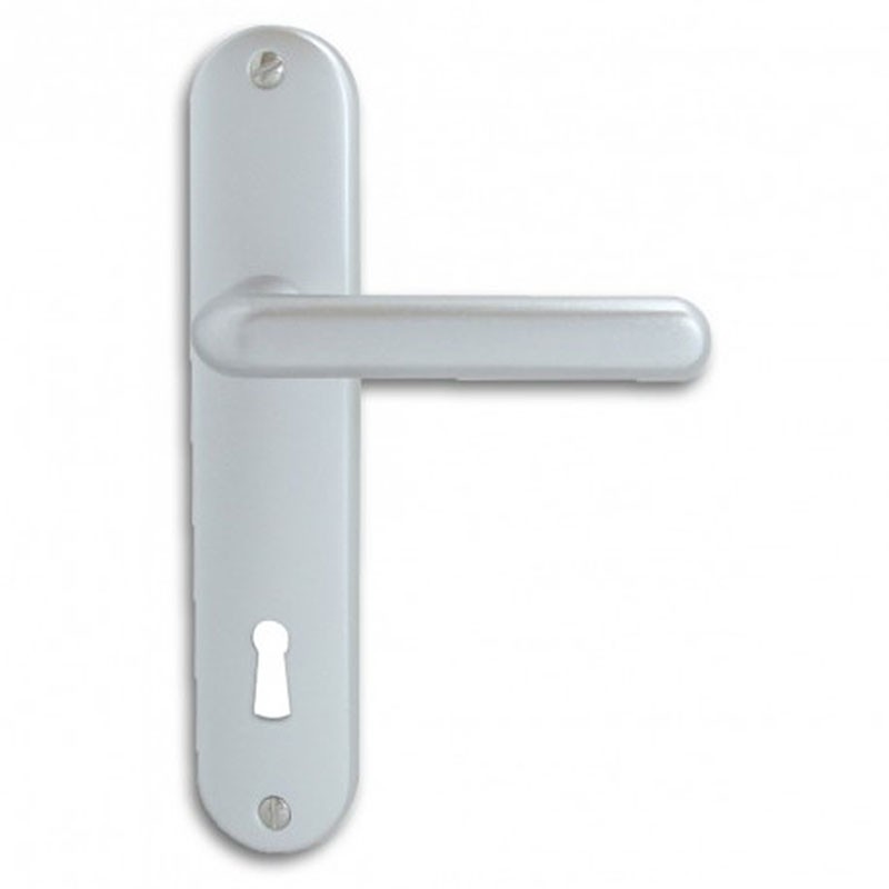 ENSEMBLE PLAQUE TIGNES ALU ARGENT