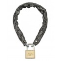 ANTIVOL CHAINE GAINEE PVC