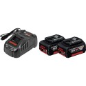 PACK CHARGEUR 1880CV + 2 BATTERIES 5.5 AH