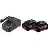PACK CHARGEUR 1880CV + 2 BATTERIES 5.5 AH
