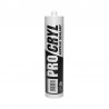 MASTIC ACRYLIQUE BLANC PRO CRYL
