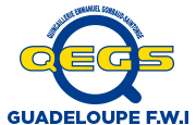 QEGS
